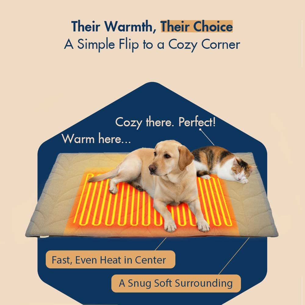 Pet control temperature control when electric blanket